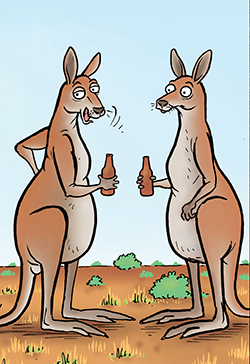 kangaroo-beers-web